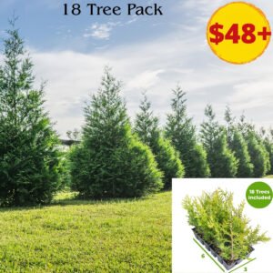 (18-Pack), Privacy Trees