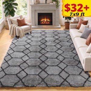 7x9 Area Rug