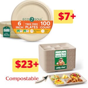 Disposable Paper Plates