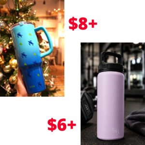 Insulated Water Bottle | Tumbler with Handle
