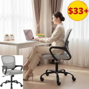 Ergonomic Lumbar Support Desk Chair