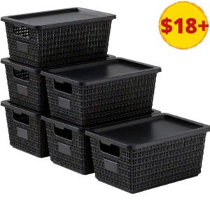 Storage Bins with Lids