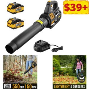 Cordless Leaf Blower