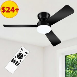 Ceiling Fans with Light