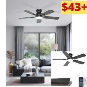 Ceiling Fan with Lights