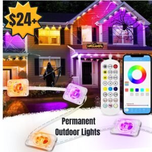 Permanent Outdoor Lights