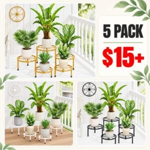 5-Pack Plant Stands