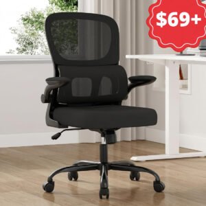 Ergonomic Office Chair