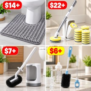 Toilet Cleaning