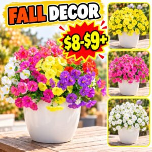 Fall Decor