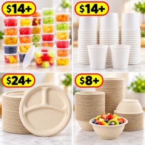 Disposable dinnerware, $8-24+