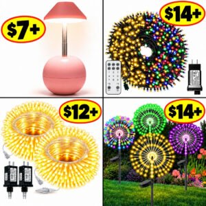 Outdoor lights and Table light