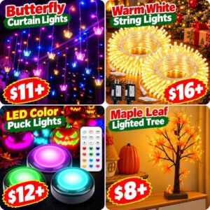All Season Indoor Decor lights
